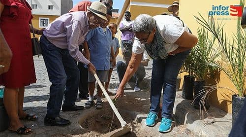 Dia da Terra: “Para conservar o planeta o total poder está nas nossas mãos”- ADAD