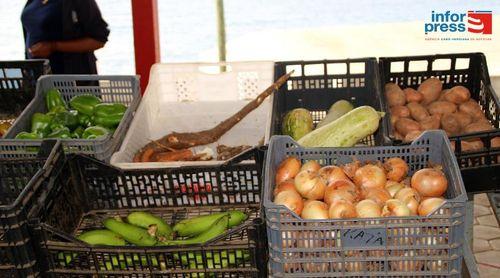 Porto Novo: Associação aposta na transformação de produtos agrícolas com apoio da Cooperação Portuguesa 