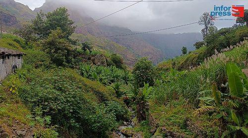 Autárquicas 2024/Paul: Candidatos ultimam contactos porta-a-porta a menos de uma semana das eleições