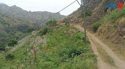 Autárquicas 2024/Ribeira Grande: Candidatos intensificam campanha focados nas necessidades locais do concelho