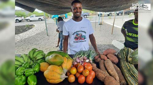 Porto Novo assume como maior produtor de horticultura no contexto da ilha de Santo Antão