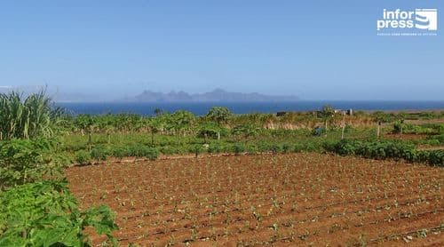 Porto Novo: Escassez de água e proliferação de pragas entre as principais preocupações dos agricultores