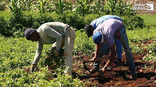 Governo lança VI Recenseamento Geral da Agricultura 2025 com uma equipa multidisciplinar