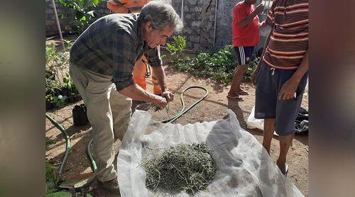 Porto Novo acolhe mesa-redonda sobre práticas e políticas agroecológicas em Cabo Verde    