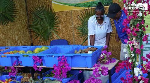 Santo Antão: Aliança dos produtores agrícolas querem conquistar novos mercados com aposta nas ilhas do Sal e Boa Vista 