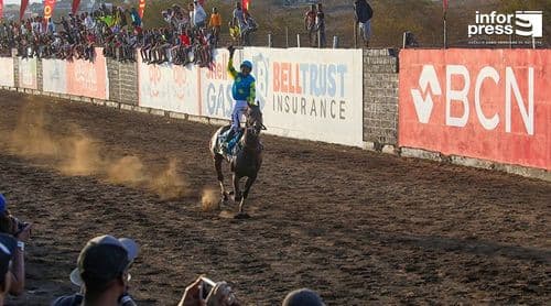 Fogo: Égua Arbissa Sabi sagra-se campeã na corrida de cavalos da festa de São Filipe 2026