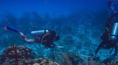 Cabo Verde acolhe ateliê regional sobre o Acordo BBNJ e Áreas Marinhas Protegidas em Alto Mar