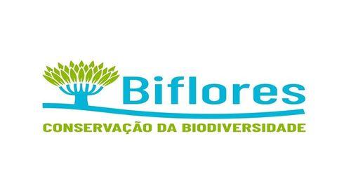 Brava: Projecto de restauração ecológica nas zonas altas já está em curso - Associação Biflores (c/áudio)