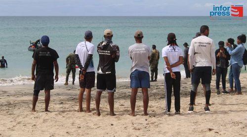 Santa Luzia já tem mais de mil calhandras após reintrodução da espécie