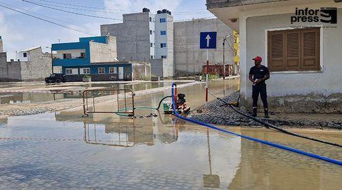 Boa Vista: Câmara Municipal proíbe novos cercos em Sal Rei e prepara transição de criadores para Monte Trigo