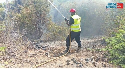 Santo Antão: Bombeiros enfrentam mais um incêndio numa das zonas florestais da cidade do Porto Novo