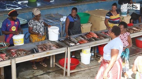 Fuel price increase expected to drive up fish prices – Praia shipowners