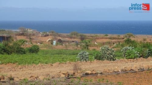 Porto Novo: Penúria de água e praga dos mil pés tiram o sono aos jovens agricultores da Casa de Meio