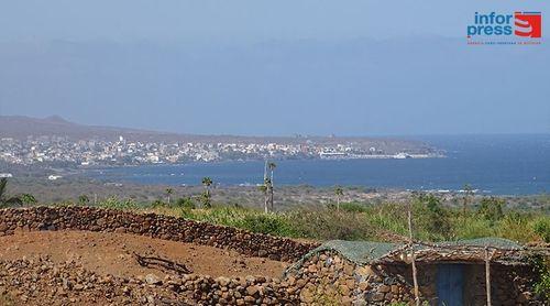 Porto Novo: Dia Mundial da Árvore e da Floresta assinalado com campanha de arborização