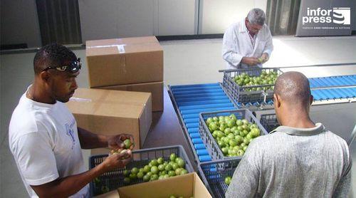 Porto Novo: Ministério da Agricultura reafirma que vai  dar outra utilidade ao antigo centro de expurgo 