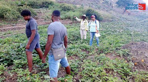 Porto Novo: Situação da barragem subterrânea piorou com as recentes cheias – agricultores