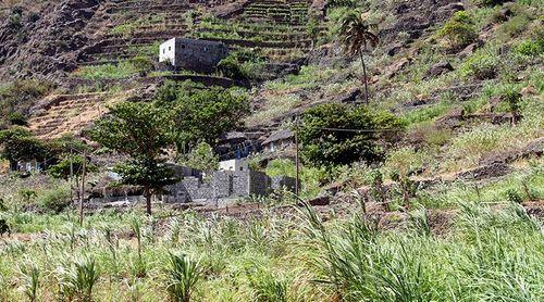 Porto Novo/Água: Comunidade de Chã de Branquinho privada de água para consumo e para irrigação – moradores