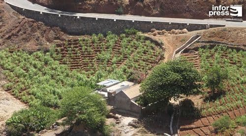 Porto Novo: Agricultores acreditam que barragem subterrânea será recuperada com próximo governo
