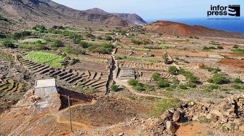 Porto Novo: Edil reafirma aposta na agricultura e requalificação da estrada em Chã de Norte 