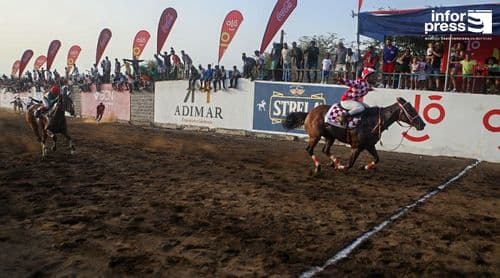 Festividades/São Filipe: Rainha das Ilhas sagra-se campeã da prova do hipismo (c\vídeo)