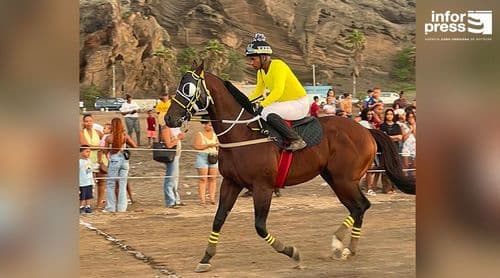Mosteiros: Cinco cavalos apurados para a final da prova de hipismo do Dia do Município