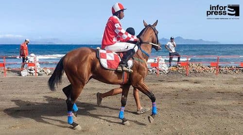 Porto Novo: Corrida de cavalo puro-sangue adiada para Setembro – edilidade