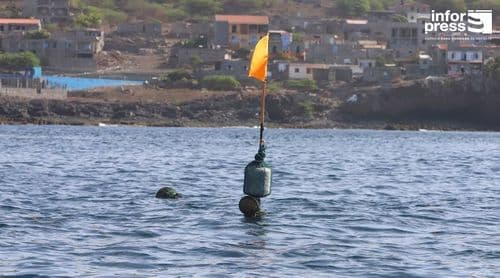 Santa Catarina: Pescadores de Rincão enaltecem benefícios do DCP na aproximação dos cardumes à costa (c/vídeo)