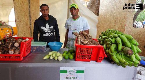 Porto Novo: Município reforça estatuto de maior produtor de horticultura em Santo Antão 