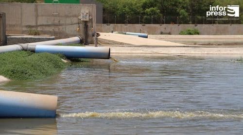 Une chercheuse préconise la réutilisation des eaux usées traitées comme une solution viable et écologiquement durable