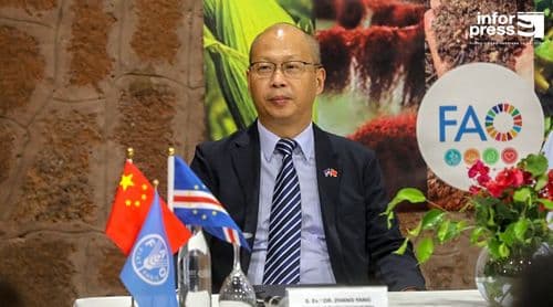 China quer reforçar cooperação agrícola com Cabo Verde após resultados do projecto China-FAO