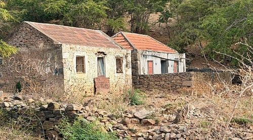 ENTREVISTA: Engenheiro agrónomo alerta para despovoamento rural e dependência alimentar crescente