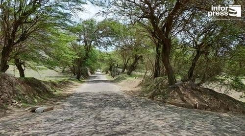 Brava: Condutores e moradores pedem intervenção urgente na estrada de acesso a Cachaço
