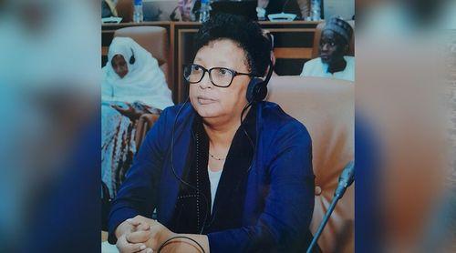 CNDHC estima em um ano e meio a entrega por Cabo Verde da maior parte dos relatórios internacionais