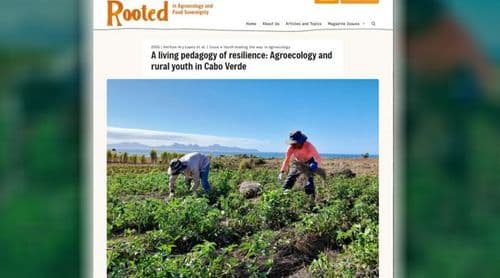Porto Novo: Experiência de agroecologia desenvolvida em Casa de Meio em destaque na revista Rooted