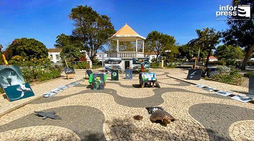 Brava: Projecto Vitó promove exposição sobre biodiversidade do Fogo e Brava (c/áudio)