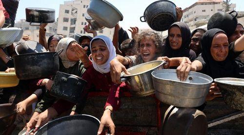 Sete mortos pela fome na Faixa de Gaza no sábado