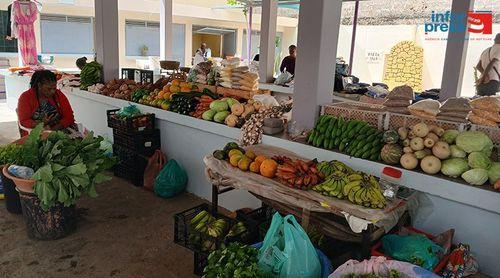 São Domingos: Câmara municipal promove feira agropecuária para dinamizar o sector do agronegócio