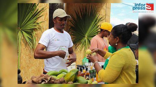 Porto Novo: Feira Agropecuária de Santo Antão 2026 vai ter a duração de uma semana – autarquia