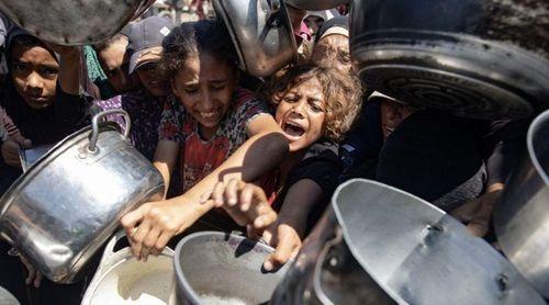 Fome mata mais oito pessoas em Gaza incluindo bebés
