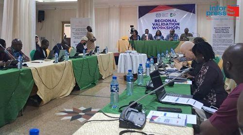 CEDEAO: Jornalistas debatem em Abuja migração laboral na região