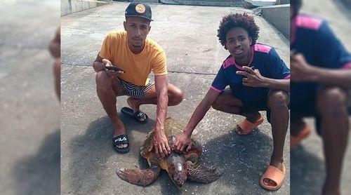 Porto Novo/Ambiente: Terrimar enaltece apoio do pescador Fredson Fonseca no resgate de tartaruga