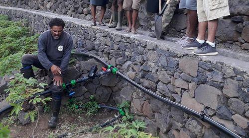 Ribeira Grande: Agricultores de Corvo beneficiam de um hectare de rede gota-a-gota financiado pelo GEF-SGP