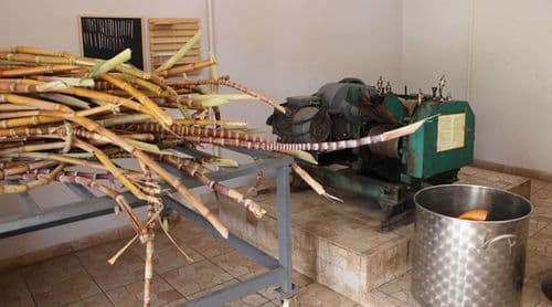 Joint operation by the IGAE and the PN in Ribeira Grande de Santiago uncovers illegal production of grogue