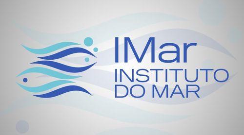 Santo Antão: Instituto do Mar realiza primeira Jornada Técnico-Científica para reforçar governação e alinhamento estratégico