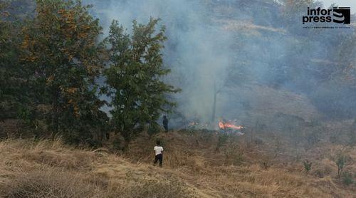 Santa Catarina/Fogo: Câmara aguarda desbloqueio de verba para apoiar criadores e agricultores afectados por incêndio