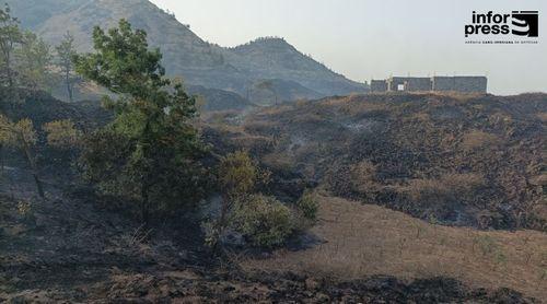 Santa Catarina do Fogo: Presidente da câmara preocupado com os criadores após incêndio de grandes proporções