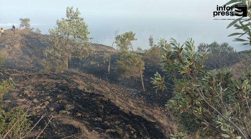 Fogo: Incêndio descontrolado em Santa Catarina já consumiu cerca de 200 hectares de terrenos (c/áudio)