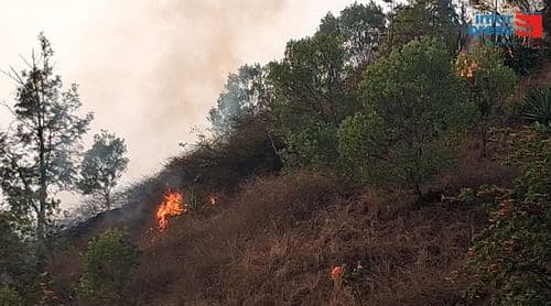 São Filipe: Incêndio destrói cafezais e árvores de fruto em Monte Vaca e autoridades avaliam prejuízos