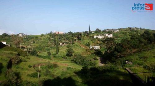 Ribeira Grande: Proprietários agrícolas de Corda satisfeitos com estado do milharal graças às chuvas registadas
