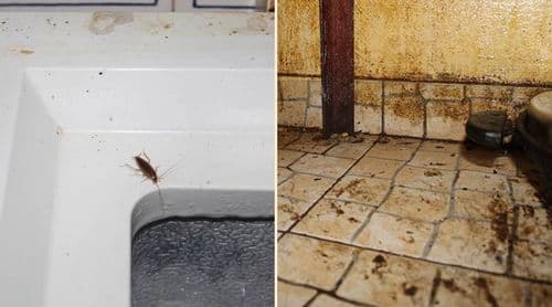 São Vicente/IGAE: Estabelecimentos comerciais já estão a adoptar medidas correctivas após acção inspectiva - director 
